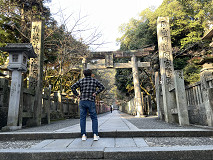 䗅
